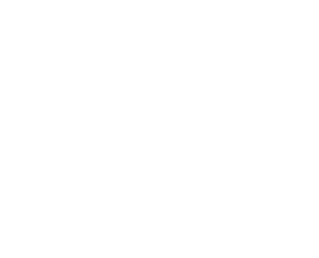 SIDE Z